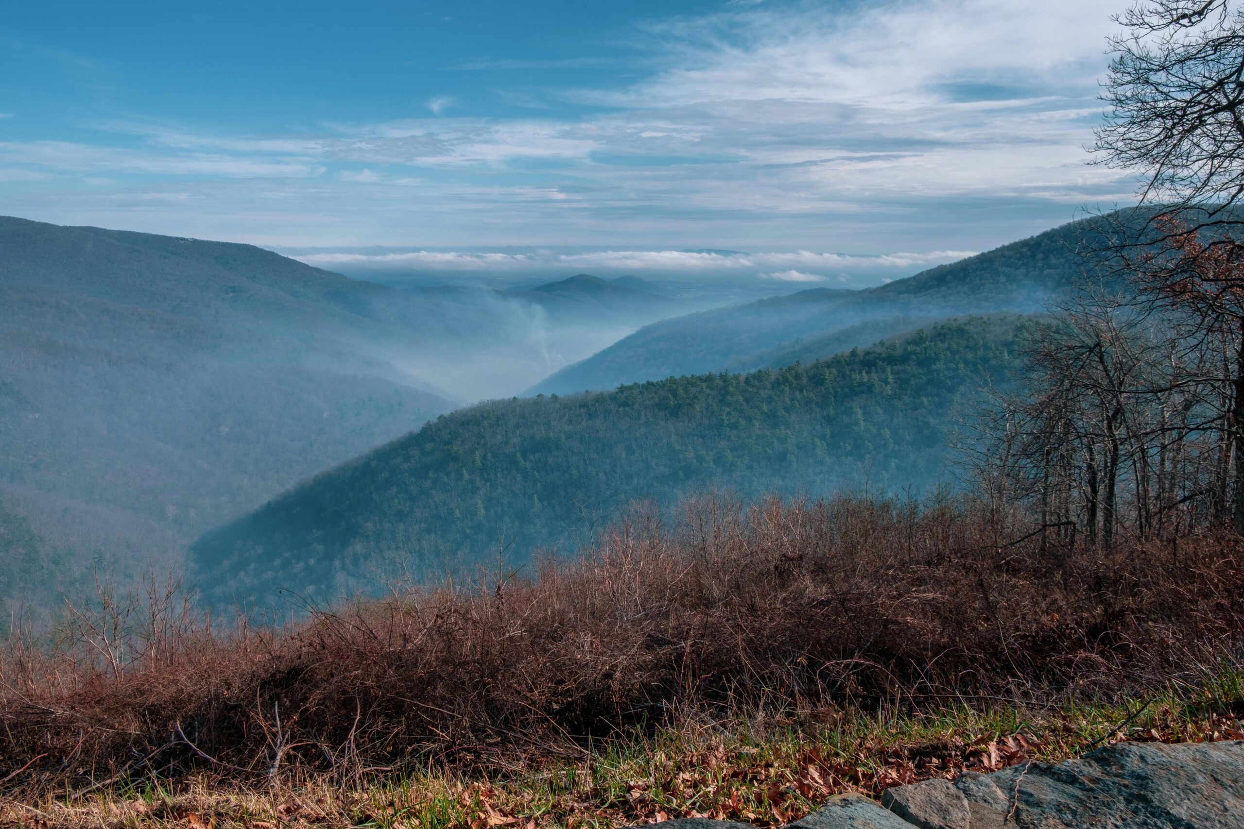 Foggy dawn from a point high in the northern Blue Ridge Mountains in Shenandoah National Park