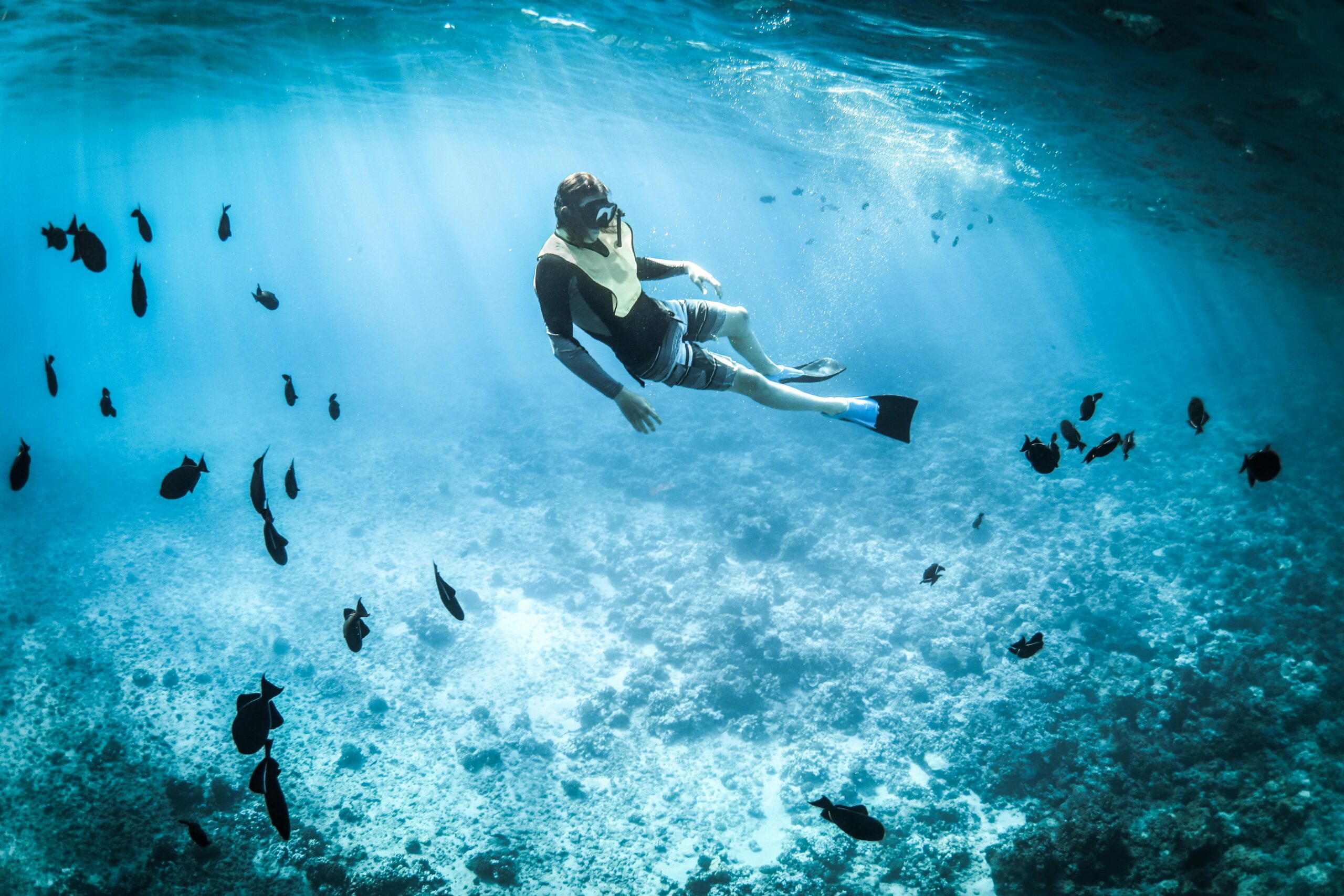 A man in a wetsuit snorkeling in beautiful blue waters with some fish in the vicinity.