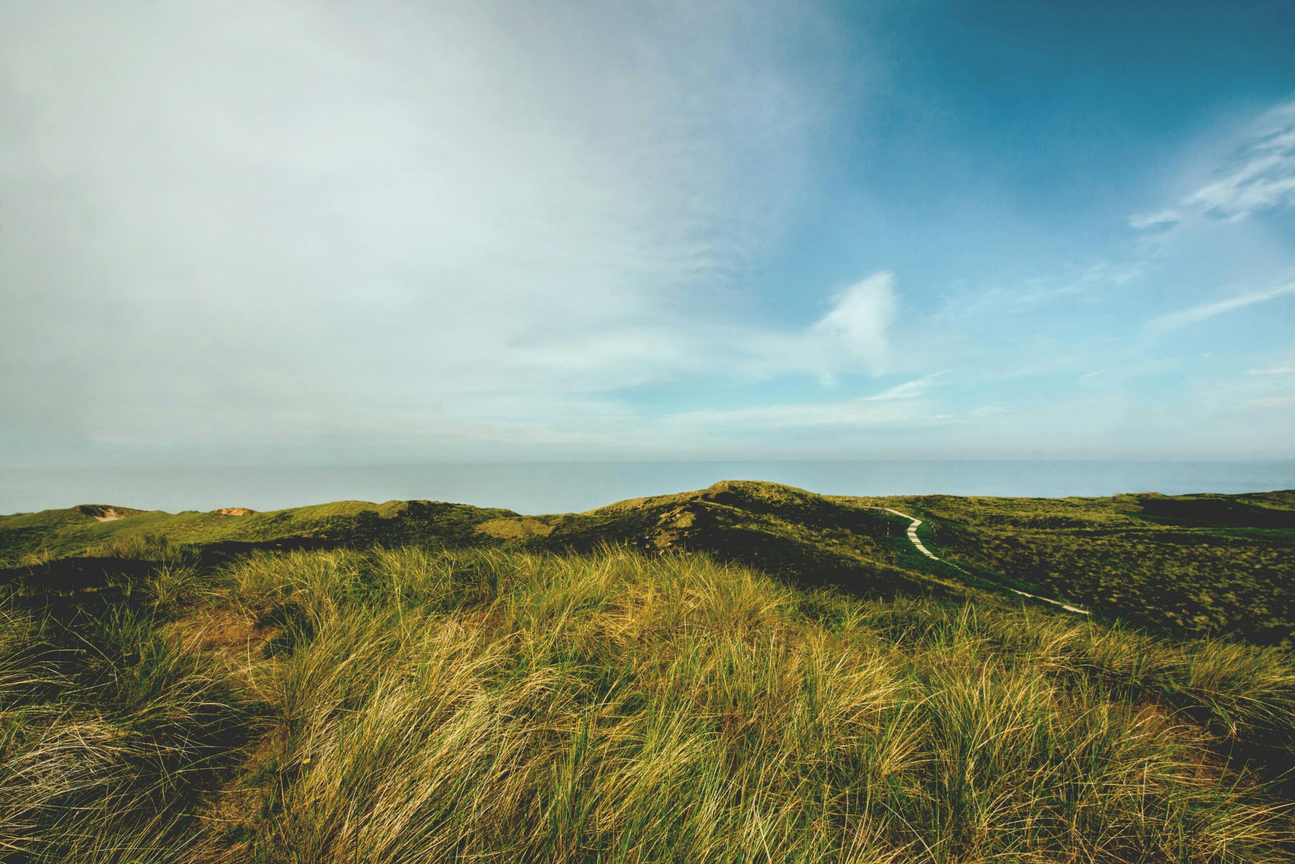 A windblown landscape in Schleswig-Holstein, Germany on a beautiful sunny day.