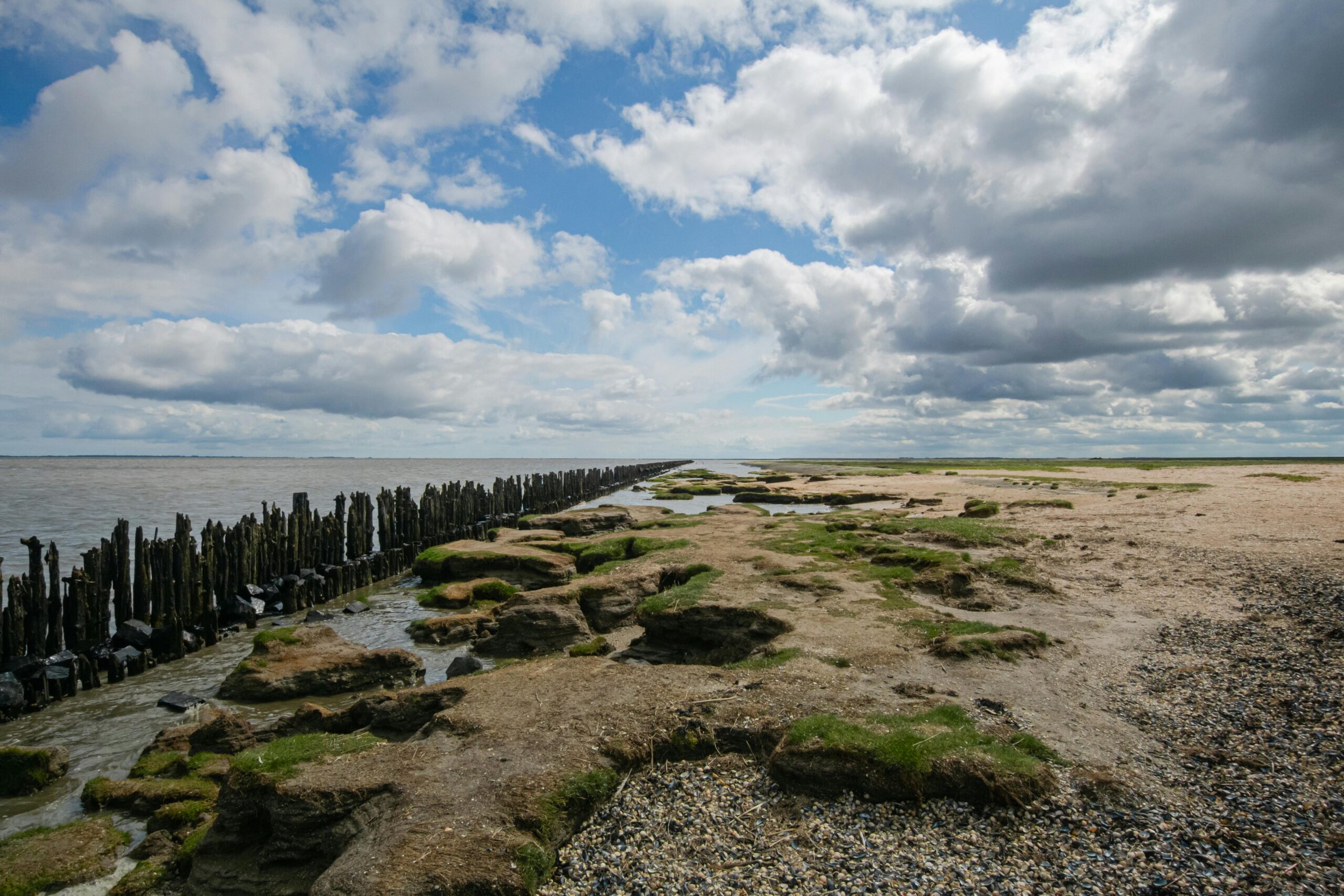 Wadden dunes on a beautiful sunny day.